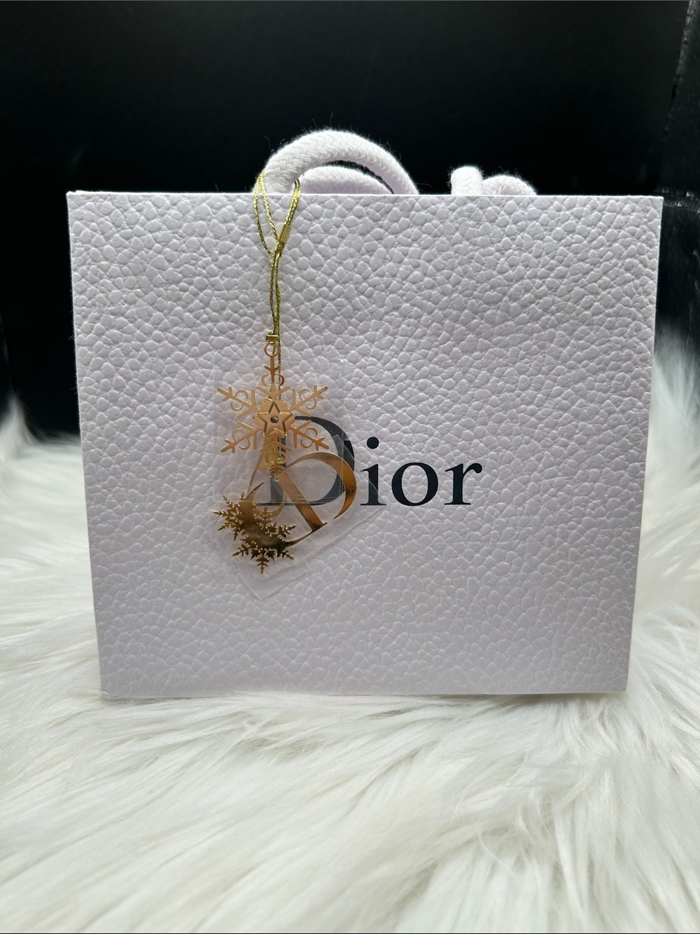 DIOR or other Luxe GIFT BAGS, choose (1) - Picture 3 of 15